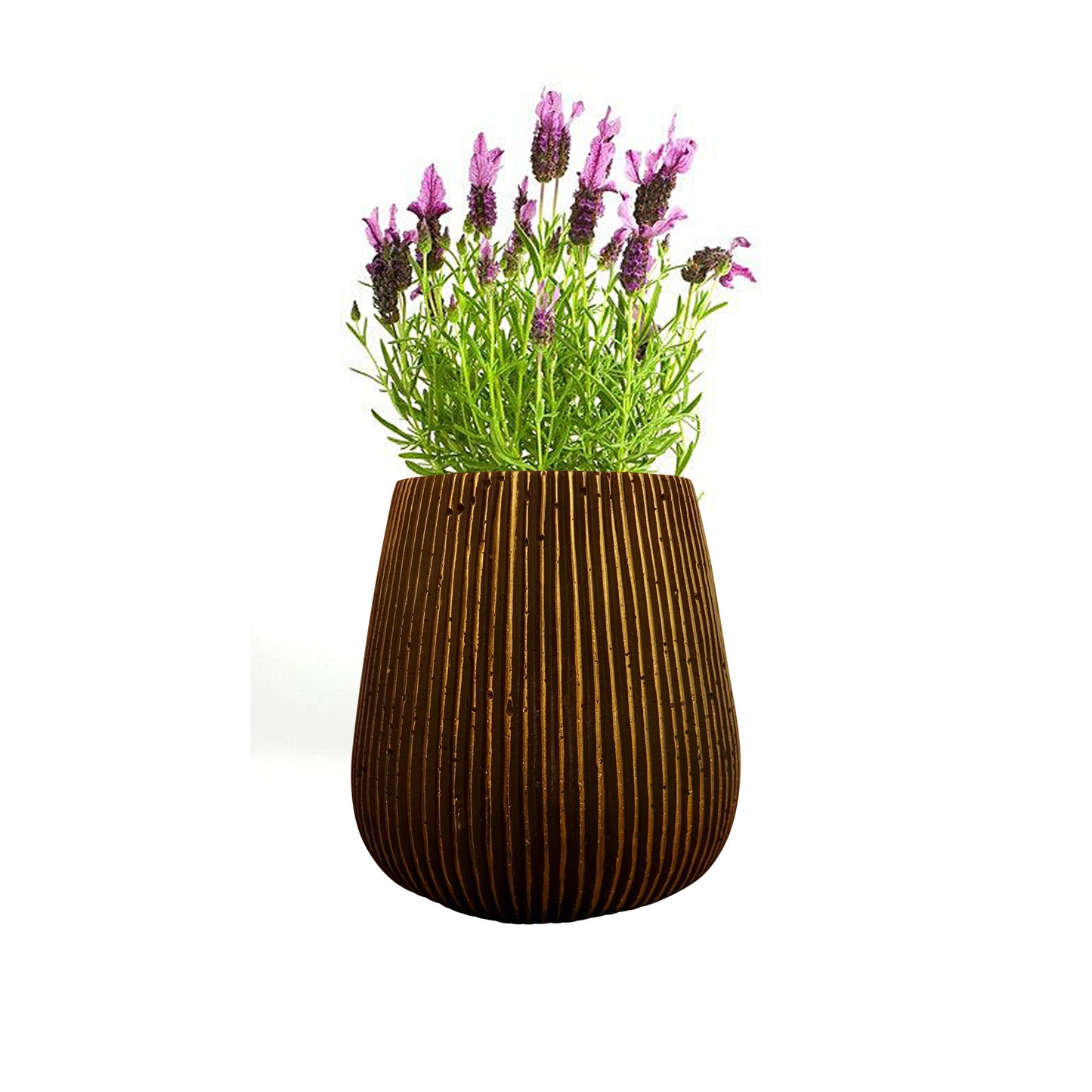 Blumentopf, Pflanzgefäß Barcelona schwarz-gold 11x16cm - tucano-hamburg