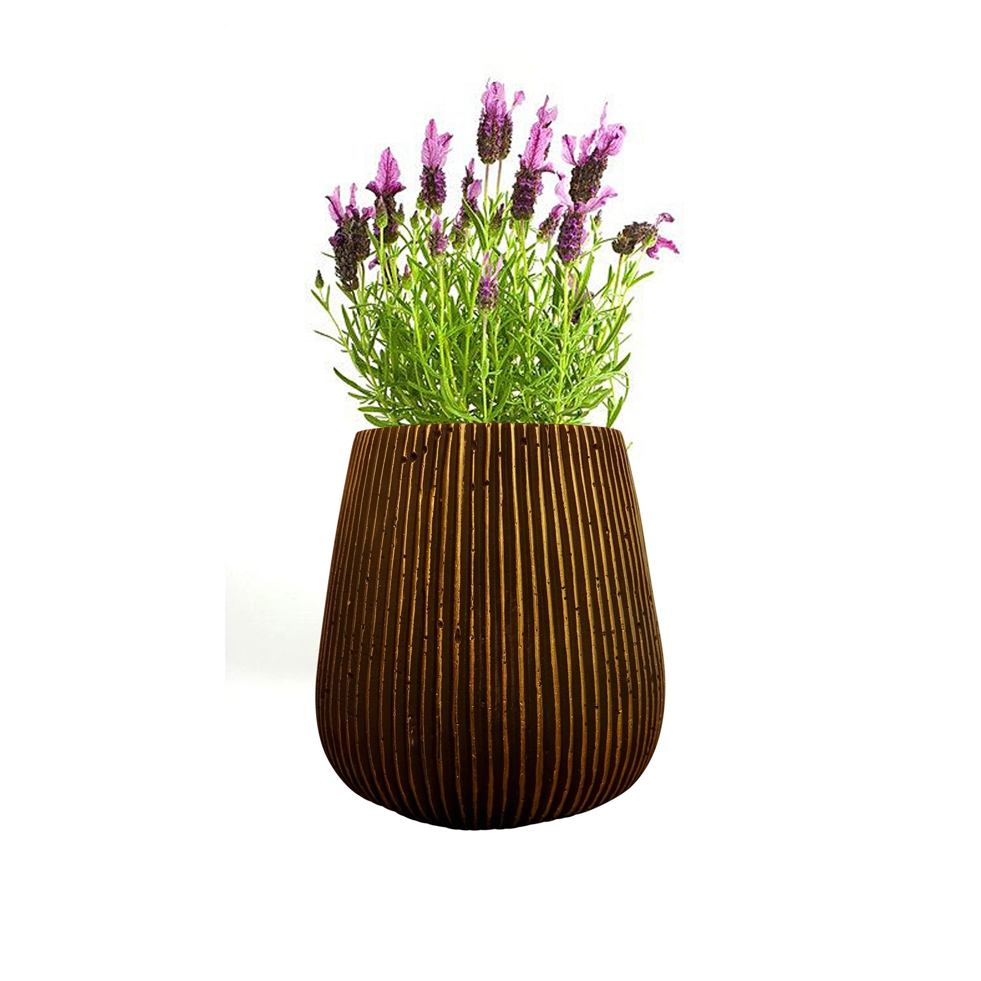 Blumentopf, Pflanzgefäß Barcelona schwarz-gold 11x16cm - tucano-hamburg