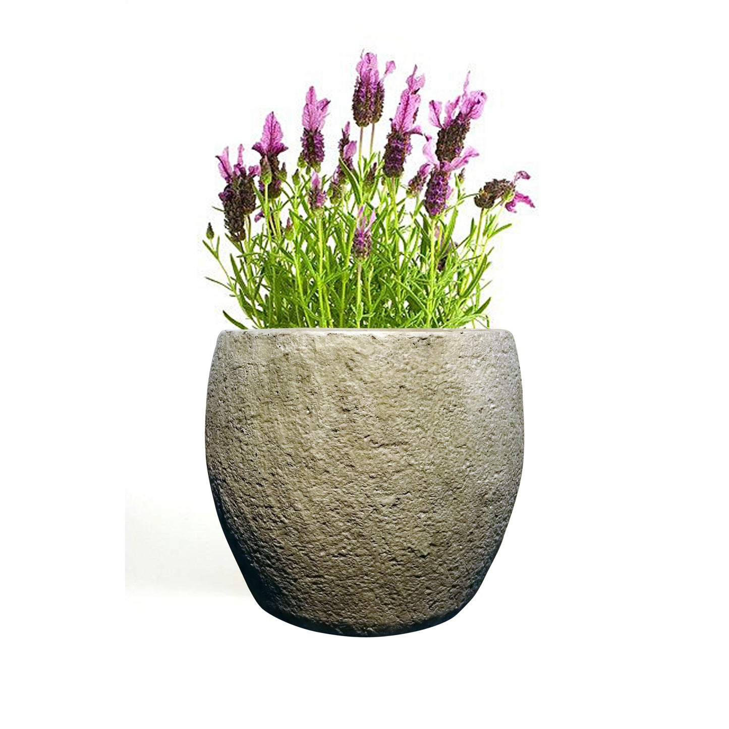 Blumentopf, Pflanzgefäß Bilbao grau 16x16cm - tucano-hamburg