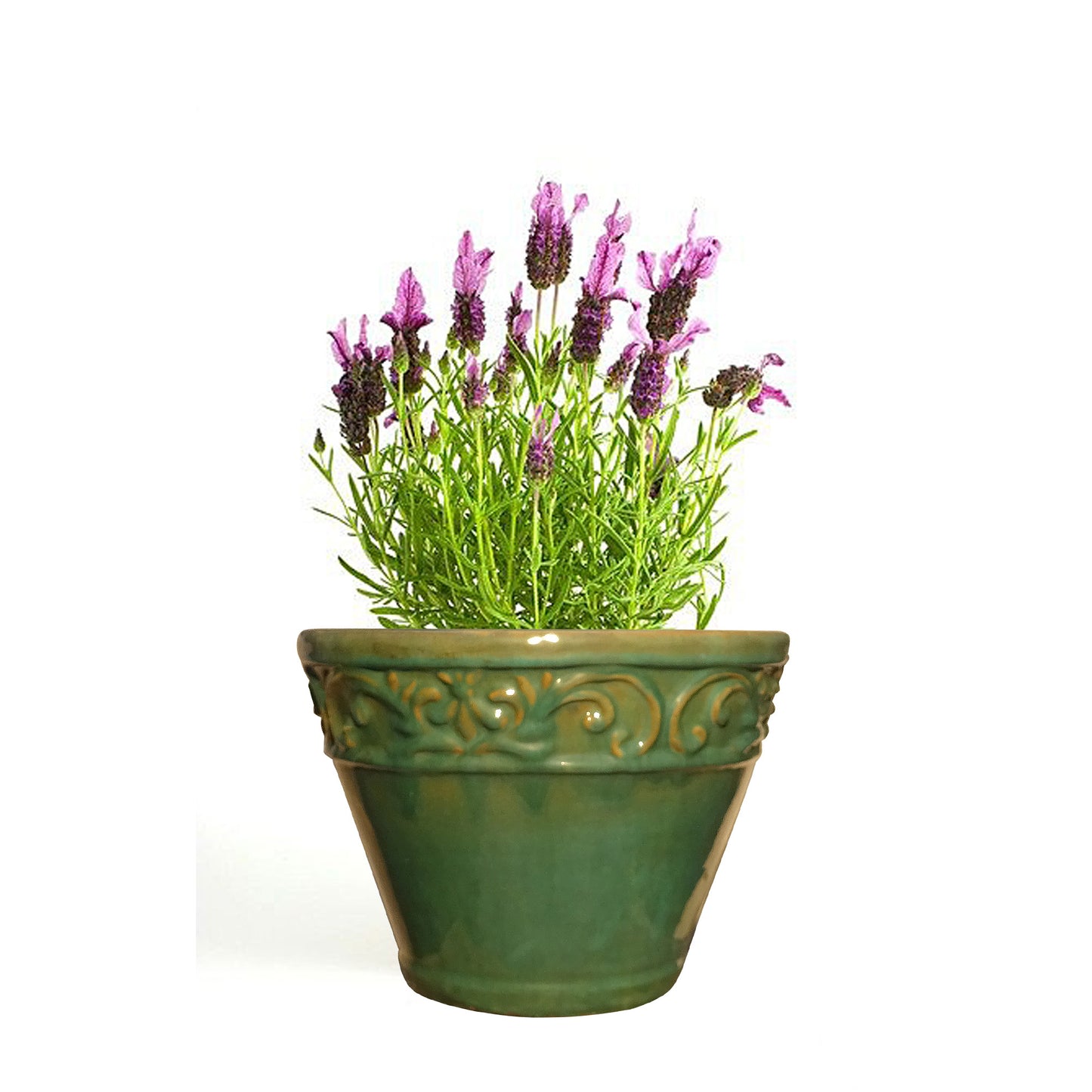Blumentopf, Pflanzgefäß Cam Bordo jade, grün 33x25cm - tucano-hamburg