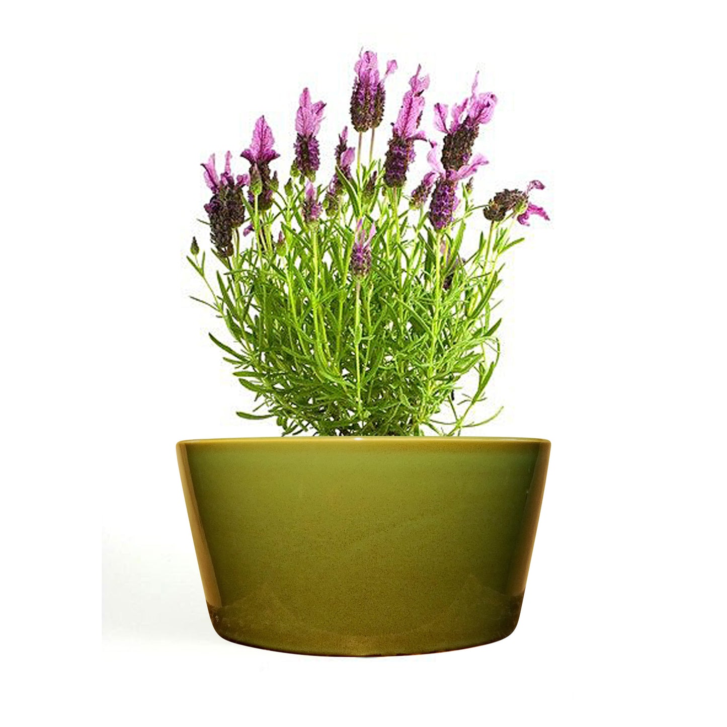 Blumentopf, Pflanzgefäß Oviedo grün 23x11cm - tucano-hamburg