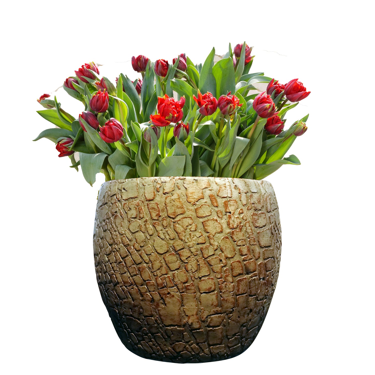 Blumentopf, Pflanzgefäß Palma 16x16cm - tucano-hamburg