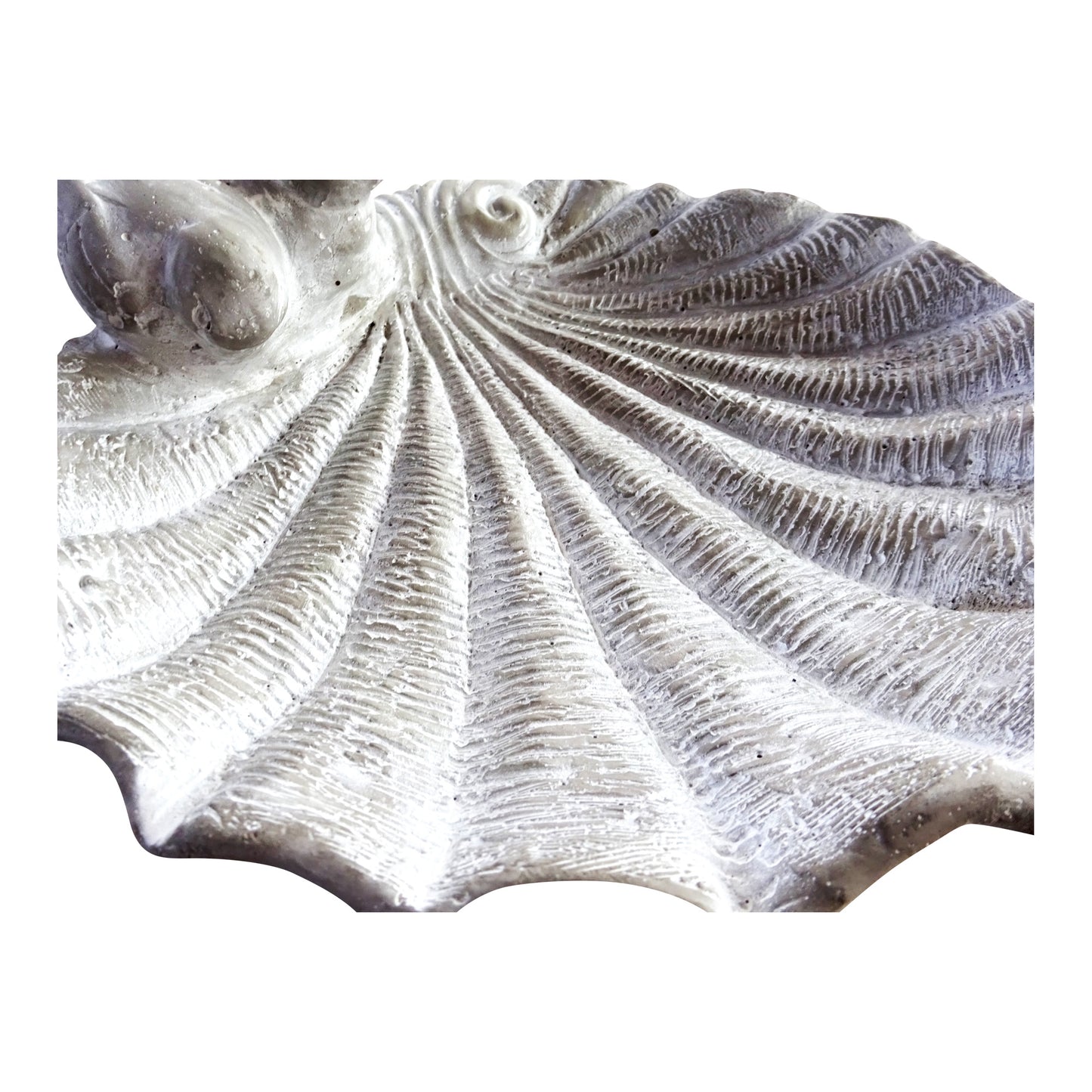 Vogelbad aus Leichtzement Modell Muschel - tucano-hamburg