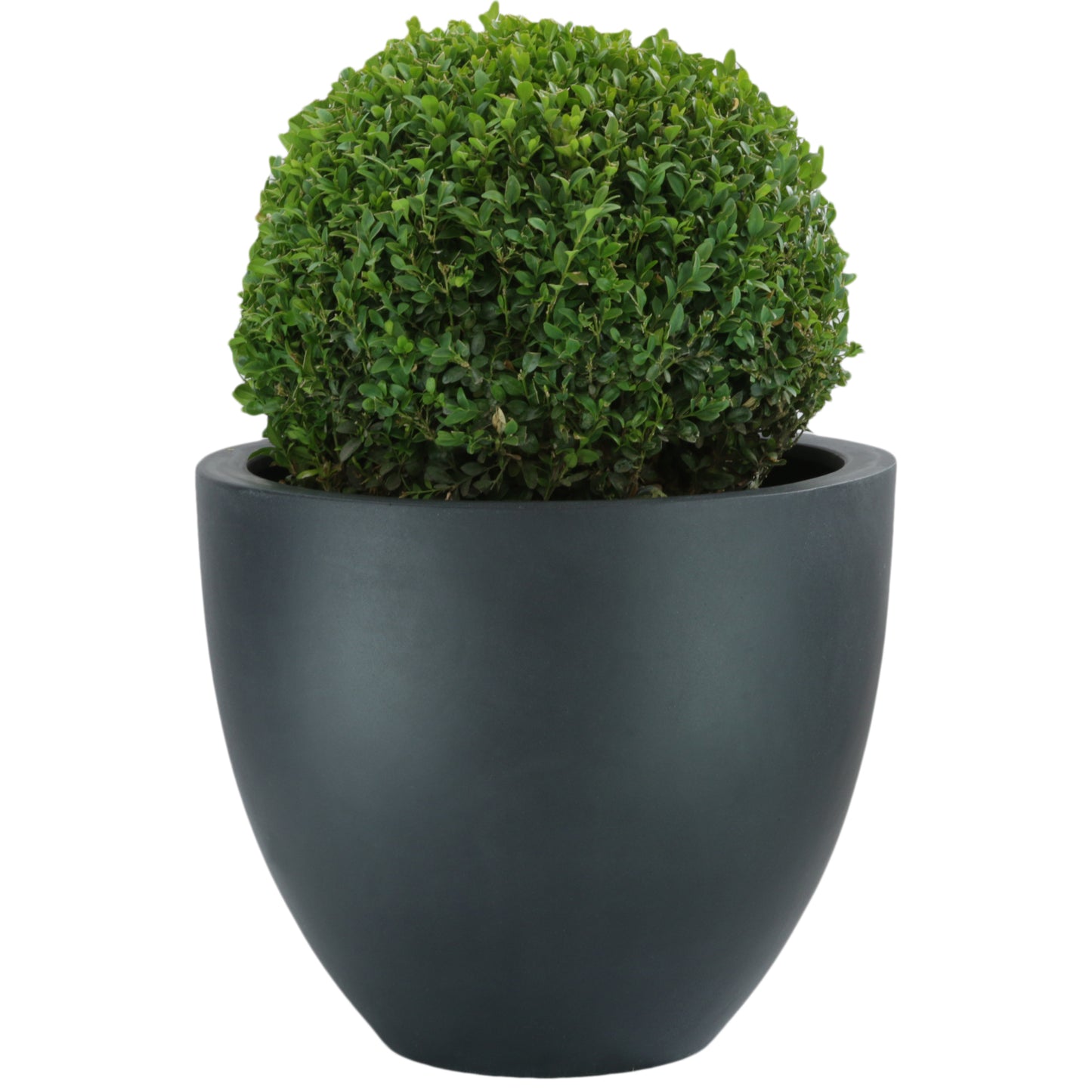 Blumentopf, Pflanzgefäß Fiberstone Eiertopf black 60x52cm - tucano-hamburg