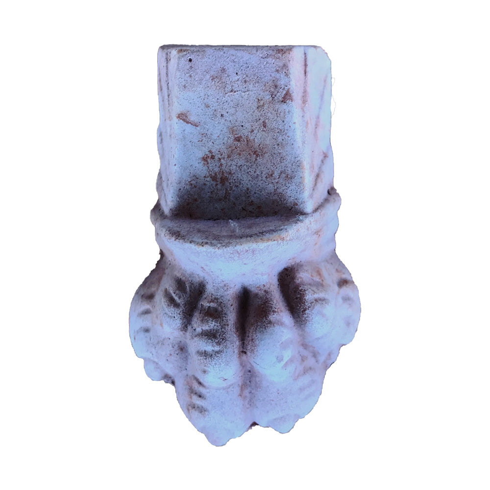 Untersetzer / Löwenfuß klein - tucano-hamburg