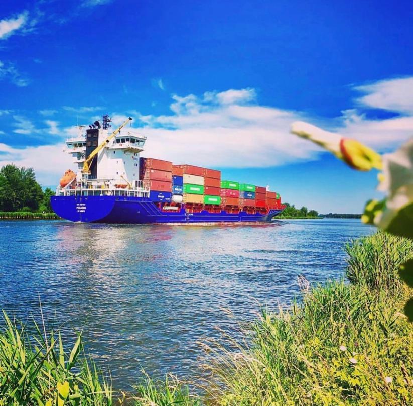 Containerschiff beladen mit Pflanzkübeln von TUCANO auf der Elbe