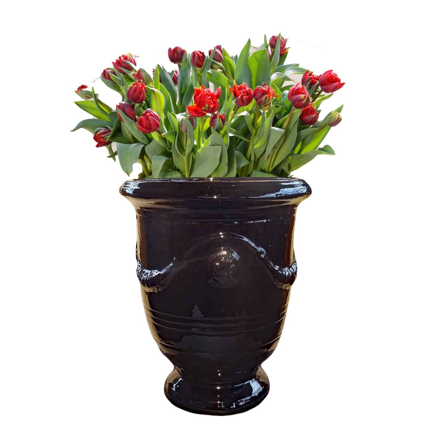 Blumentopf, Pflanzgefäß 2er Set Anduze schwarz 48x52cm (Speditionsartikel) - tucano-hamburg