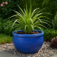 Bamboo blue 28x18cm