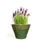 Blumentopf, Pflanzgefäß Cam Bordo jade, grün 33x25cm - tucano-hamburg