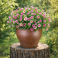 Blumentopf / Pflanzgefäß „Lotus Braun“ – Steinguttopf 47x36 cm, frostfest & handgefertigt - tucano-hamburg