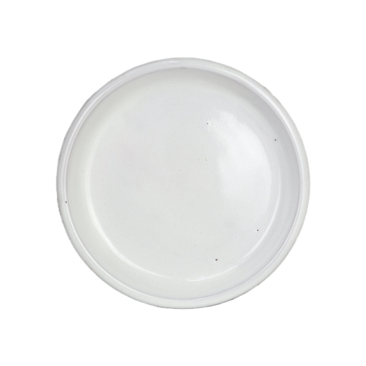 plate white 42cm